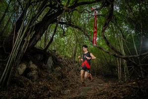 BIB: 
                            <button type="button" onclick="openModal(22177269)" class="btn btn-primary btn-sm float-right btn-popup" data-toggle="modal" data-target=".modal-high-quality">
                        <i class="fas fa-shopping-cart"></i> Add to Cart
                    </button>
                                            <button type="button" onclick="isThisMe(22177269, true)" class="btn btn-success btn-sm float-right btn-popup btn-isme hidden" data-toggle="tooltip" data-placement="bottom" title="นี่คือรูปของคุณใช่ไหม คลิกที่นี่เพื่อเอาเข้าอัลบั้ม">
                        <i class="fas fa-plus"></i> Add to album
                    </button>
                    <button type="button" onclick="isThisMe(22177269, false)" class="btn btn-warning btn-sm float-right btn-popup btn-isnotme hidden">
                        <i class="fas fa-ban"></i> Remove from album
                    </button>